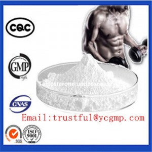 99% Pharmaceutical Digestive Anti-Emetic  Domperidone Medication For Lactation 57808-66-9