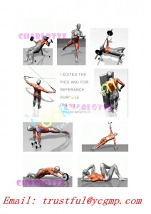 Factory Supply 99% purity Steroids Solvent Benzyl Benzoate (BB) CAS 120-51-4 as an acaricide