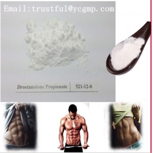 Factory GMP  High Purity Trenbolone Enanthate / Tren E for Bodybuilding