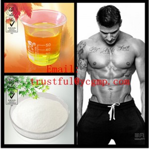 High Quality Nandrolone Decanoate / Deca Durabolin CAS: 360-70-3for Muscle Building