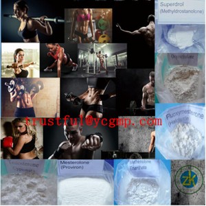 High Quality Methenolone Enanthate CAS: 303-42-4for Muscle Aromatizing Primobolan