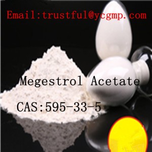High Quality Megestrol Acetate CAS: 595-33-5 Estrogen for Breast Cancer