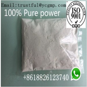99% Dexamethasone Phosphate Disodium Salt CAS: 55203-24-2 for Anti Inflammatory