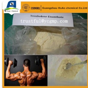 High Quality Dyclonine Hydrochloride CAS: 536-43-6 Formucosa Anti-Pain
