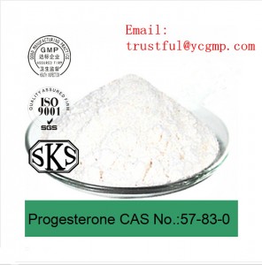 High Quality Norgestimate CAS: 35189-28-7 for Female Progesterone