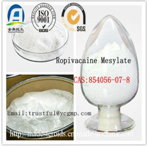 High Quality Clobetasol Propionate CAS: 25122-46-7 For anti-Inflammation